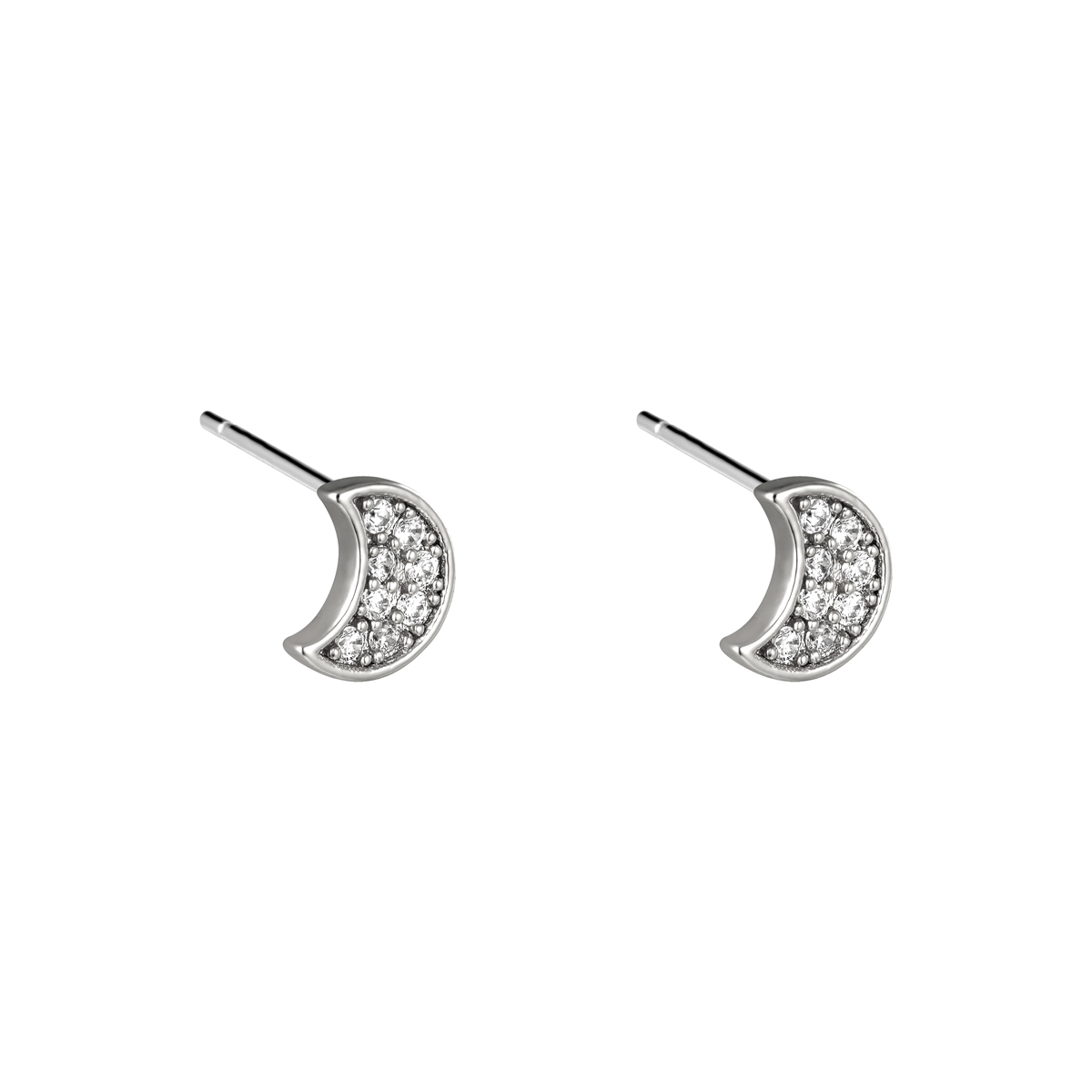Silver / Earrings Paula 